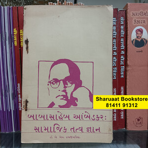 babasaheb-amebedkar-samajik-tatva-gyan dr a m rajshekhariya