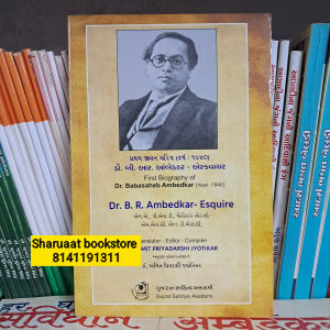dr b r ambedkar-esquire